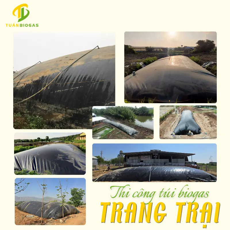 Thi Công Túi Biogas Cho Trang Trại Heo Tại Bình Dương, Đồng Nai, Bình Phước Chi Tiết Từ A-Z